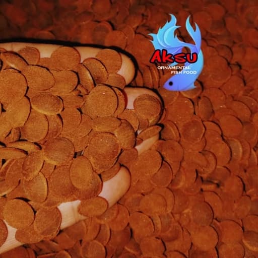 غذای ماهی ویفر قرصی استاگزانتین 10 گرمی