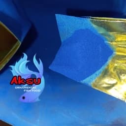 غذای ماهی رنگدانه خالص آبی فایکوسیانین وارداتی 2 گرمی — تصویر ۳