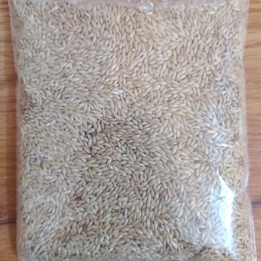 غذای طوطی و پرنده تخم کتان ( 100 گرمی) — تصویر ۲