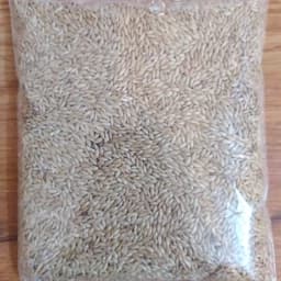 غذای طوطی و پرنده تخم کتان ( 100 گرمی) — تصویر ۳