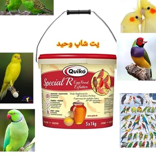 غذای تخم مرغی قرمز کویکوآلمان100 برای رنگ دادن پرندگان ریزجسته