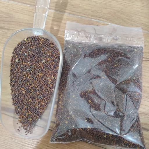 غذای طوطی و پرنده تخم شلغم قرمز ( 100 گرمی) — تصویر ۲