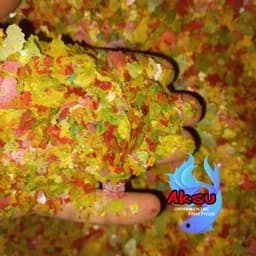 غذای ماهی روابی پولکی درجه 1 میکس 500 گرمی ماهی قرمز و گوپی و کالر وفایتر انواع ماهی تنگ و حوض و گیاه خوار اکواریوم — تصویر ۳