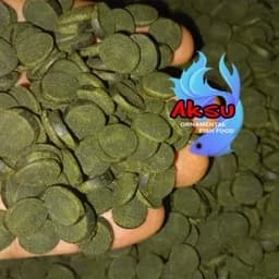 غذای ماهی ویفر قرصی اسپیرولینا 35 درصد پلکو گوپی و... 50 گرمی — تصویر ۳