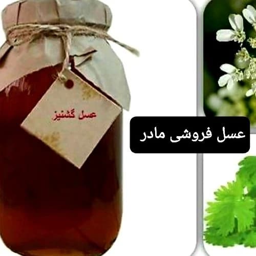 عسل طبیعی گشنیز(عسل فروشی مادر) — تصویر ۲