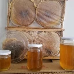 عسل زول دیابتی شهد 1کیلویی ساکارز 1 (عسل فروشی خزر) — تصویر ۳