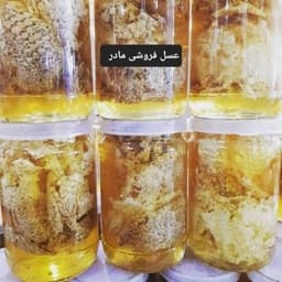 عسل وحشی شاخه ای موم وشهد(عسل فروشی مادر) — تصویر ۳
