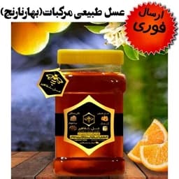 عسل طبیعی مرکبات شفاهیر(بهارنارنج)(1 کیلوگرم)(ارسال فوری)(مستقیم از زنبوردار) — تصویر ۳