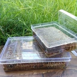 عسل با موم مشکی 500 گرمی — تصویر ۳