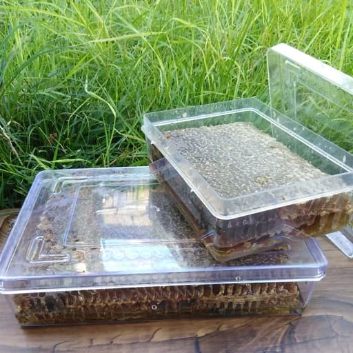 عسل با موم مشکی 500 گرمی