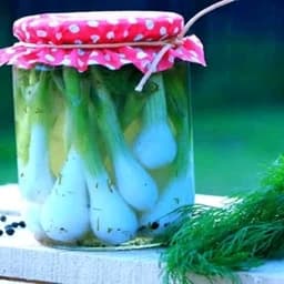 ترشی پیازچه وسبزیجات یک کیلویی گیلان .رشت — تصویر ۳