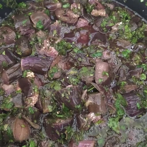 ترشی بادمجان ورقه ای خانگی.(زالک ) 650گرم — تصویر ۲