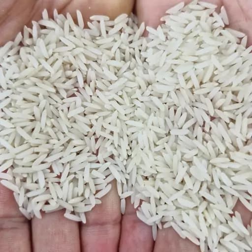 برنج طارم کشت دوم اعلا 10 کیلویی((ارسال رایگان))