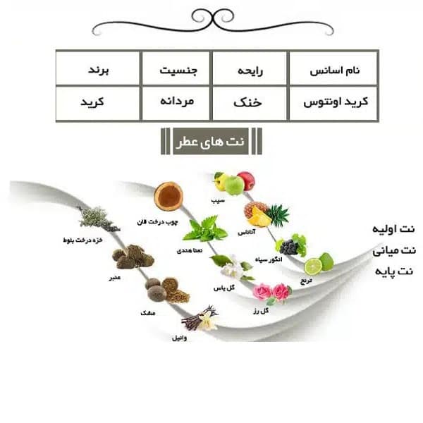 ادو پرفیوم مردانه ایفوریا مدل اونتیوس با رایحه تلخ حجم 100 میلی لیتر — تصویر ۳