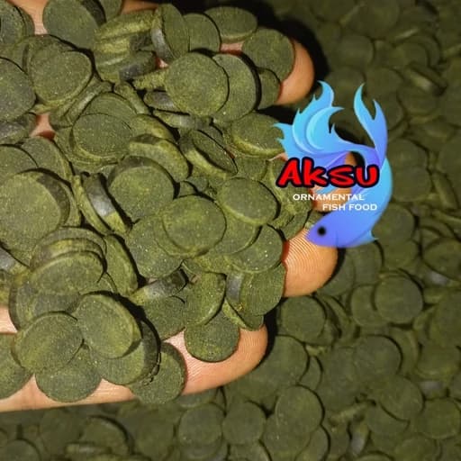 غذای ماهی ویفر قر صی اسپیرولینا 35 درصد پلکو 100 گرمی