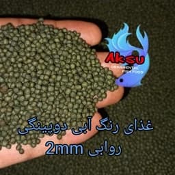 غذای ماهی رنگ آبی دوپینگی روابی سایز 2 میل 100 گرمی چانا و فلاور و کوی و... — تصویر ۳