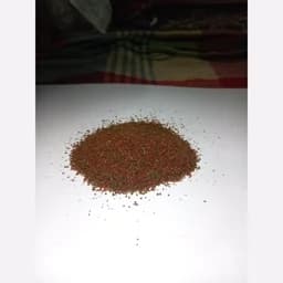 غذای ماهی رنگدانه درجه1 تترا و گوپی — تصویر ۳