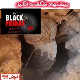 عسل گون طبیعی یک کیلویی سبلان — تصویر ۳