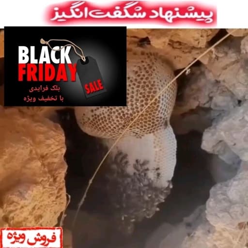 عسل گون طبیعی یک کیلویی سبلان — تصویر ۲