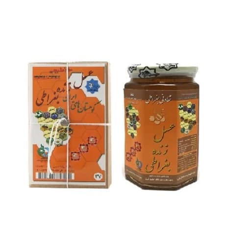 عسل طبیعی بغراطی 3 ستاره (یک کیلوگرم خالص) برند قدیمی حکیم روازاده — تصویر ۲