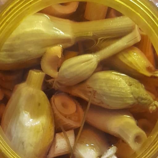 ترشی گلپر کوهی 700 گرمی — تصویر ۲