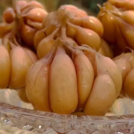 ترشی سیرخانگی .سیر سرکه خوشمزه مازندران500 گرم