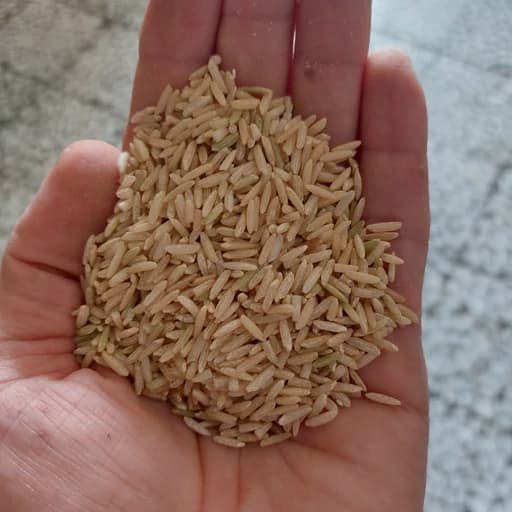 برنج قهوه ای رژیمی — تصویر ۴