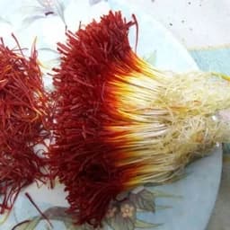 زعفران دختر پیچ 4.6 گرم اصل گناباد (با ماندگاری بالا) — تصویر ۳