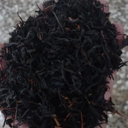 چای قلم لیزری بهاره درجه یک ،ممتاز بهاره محصول 1405،نیم کیلویی — تصویر ۲