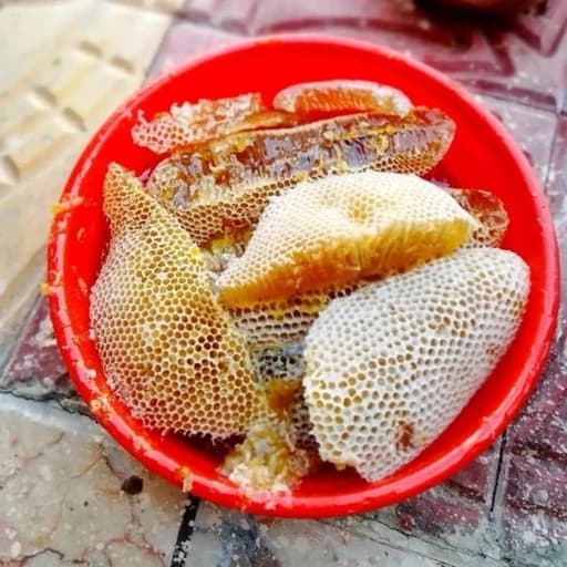 عسل وحشی شاخه درختی یک کیلویی شهد(عسل فروشی آری کندی)