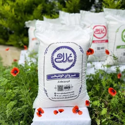 برنج شیرودی خوشپخت (طارم استخوانی فریدونکنار )1404