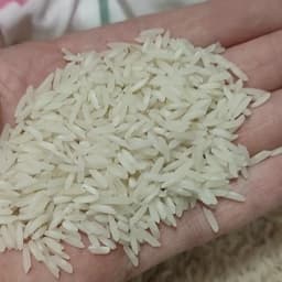 برنج خوشپخت مخصوص(10کیلویی)ارسال رایگان .هایپرلند — تصویر ۵