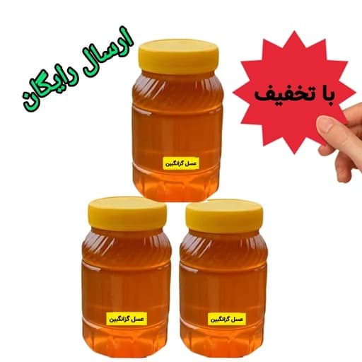 عسل طبیعی گزانگبین سه کیلویی ساکارز زیر یک درصد درجه یک ( مستقیم از زنبوردار) تخفیف ویژه ارسال رایگان — تصویر ۲