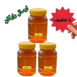 عسل طبیعی گزانگبین سه کیلویی ساکارز زیر یک درصد درجه یک ( مستقیم از زنبوردار) تخفیف ویژه ارسال رایگان — تصویر ۳