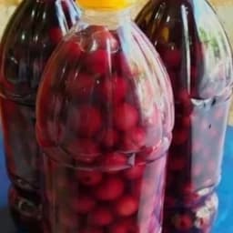 ترشی آلبالو 1000 گرمی — تصویر ۳