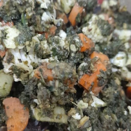 ترشی مخلوط لقمه ای (2100 گرمی — تصویر ۲