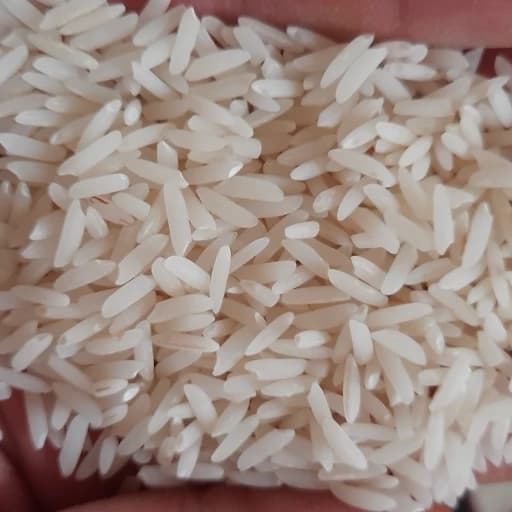 برنج طارم هاشمی اعلاء — تصویر ۲
