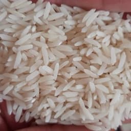 برنج طارم هاشمی اعلاء — تصویر ۳
