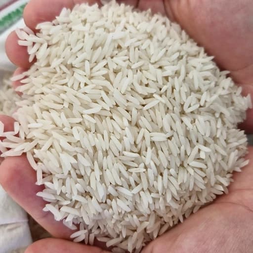 برنج هاشمی آستانه اشرفیه درجه یک 10 کیلویی