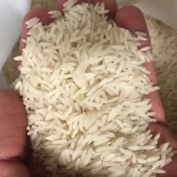 برنج راتون (وورزاکی، برنج وحشی) صدری هاشمی آستانه اشرفیه،ارگانیک، 10کیلوگرم — تصویر ۳