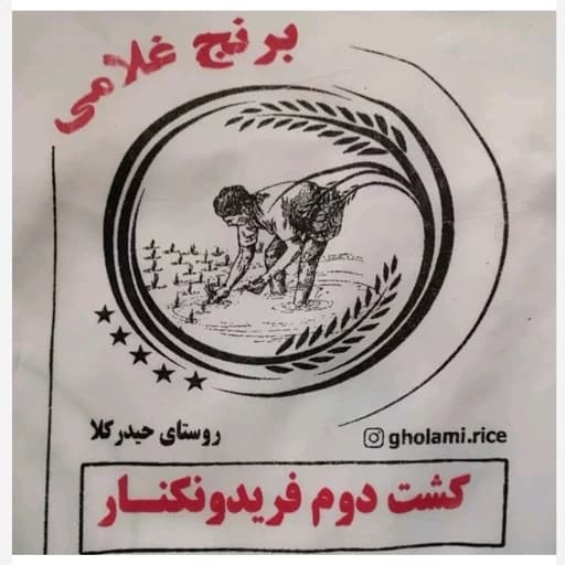برنج کشت دوم امراللهی (سوپر ویژه فریدونکنار) 1404