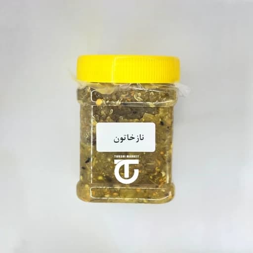 ترشی نازخاتون