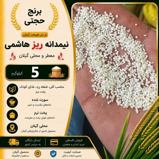 برنج نیمدانه ریز هاشمی محلی گیلان (5 کیلو) ارسال رایگان — تصویر ۲