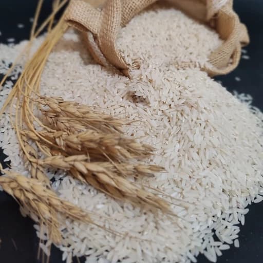 برنج علی کاظمی ممتاز گیلان (10کیلویی)