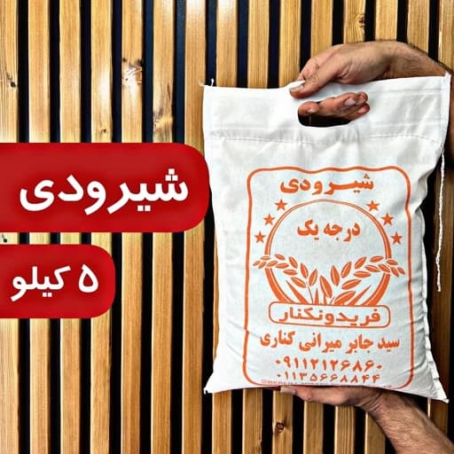 برنج شیرودی درجه یک فریدونکنار پخت عالی 5 کیلو ارسال رایگان