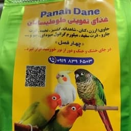 غذای عروس هلندی و طوطی سانان ریز جثه — تصویر ۷