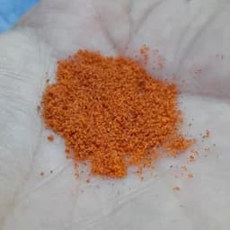 غذای آرتمیا دکپسوله ماهیان آکواریوم (20 گرم-باکیفیت و مقوی) — تصویر ۳