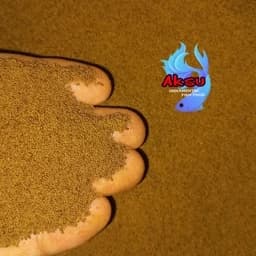 غذای ماهی0.2 میل جوجه گوپی بیومار سومو محرک رشد و رنگ و باله یک کیلویی — تصویر ۵