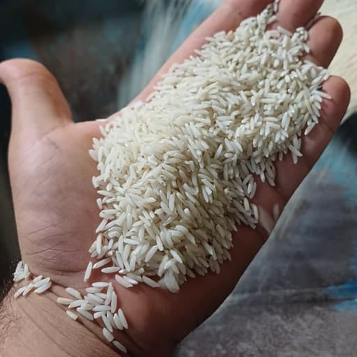 برنج هاشمی معطر طارم هاشمی اعلا تضمین پخت ارسال رایگان درب منزل