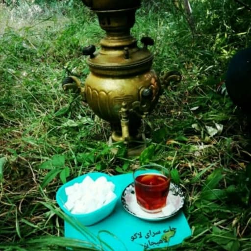 چای قلم ممتاز بهاره 1405 لاهیجان بسیار خوش عطر و طعم (800گرمی) محصول 1404